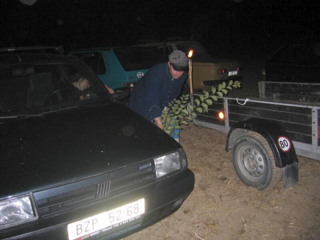 * Image 101