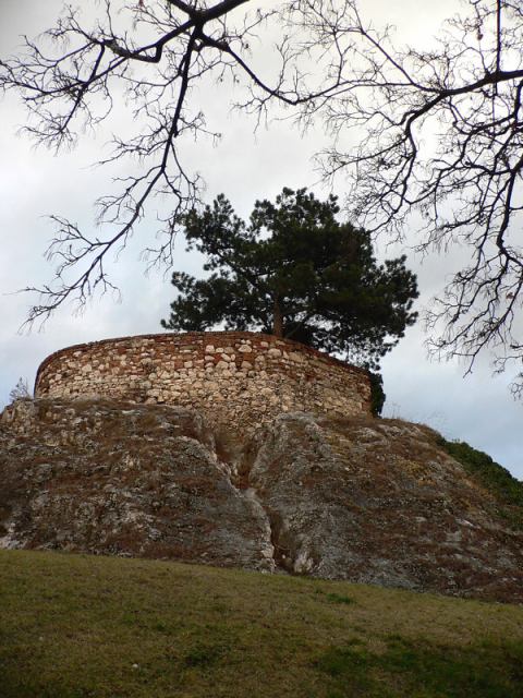 * Image 23