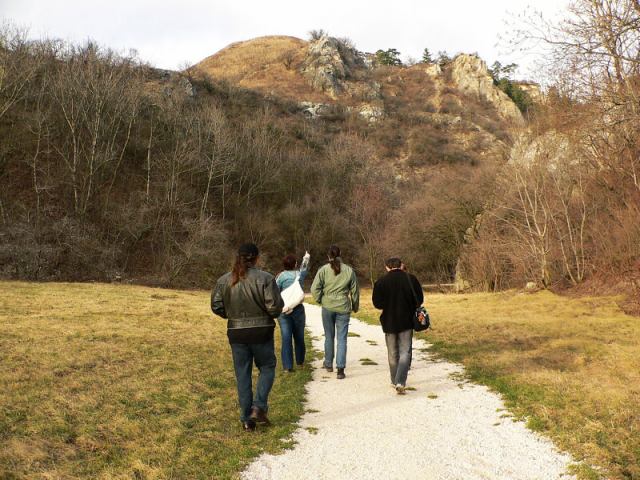 * Image 12