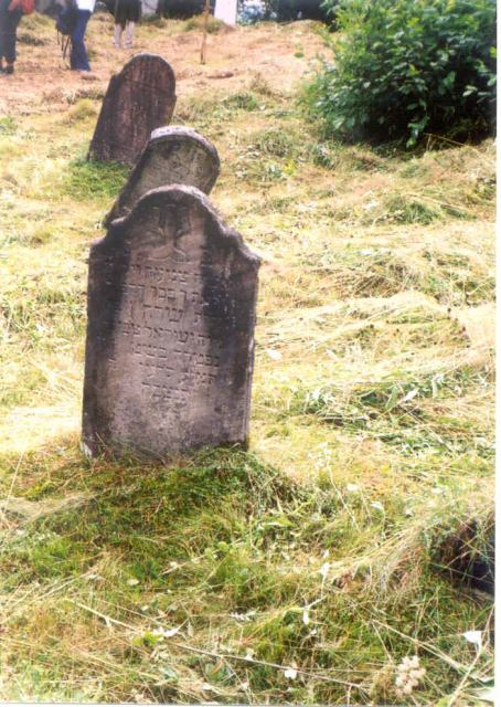 * Image 18