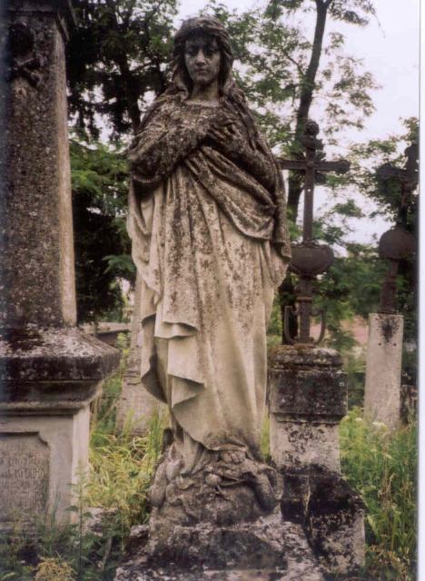 * Image 31