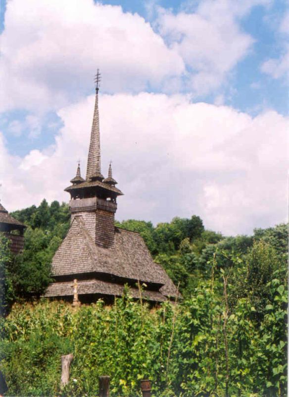 * Image 15