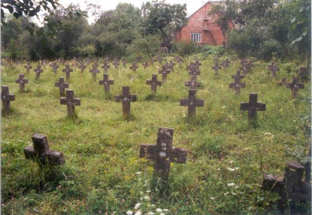 * Image 30