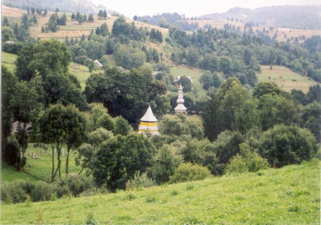 * Image 23