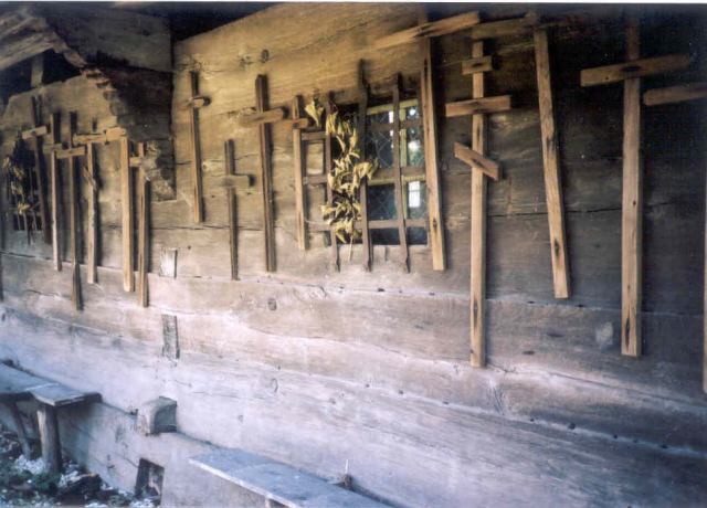 * Image 10