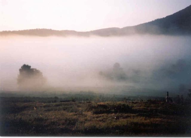 * Image 1