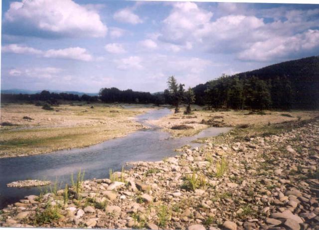 * Image 16
