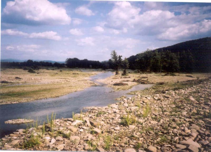 * Image 16