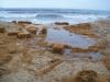 100_1105.JPG - 2011:10:04 11:06:38