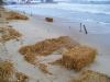 100_1107.JPG - 2011:10:04 11:07:40