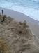 100_1043.JPG - 2011:10:03 16:06:28