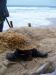 100_1047.JPG - 2011:10:03 17:27:32