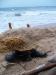 100_1048.JPG - 2011:10:03 17:28:53