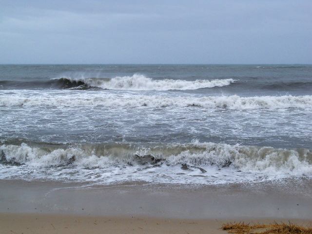 * Image 155