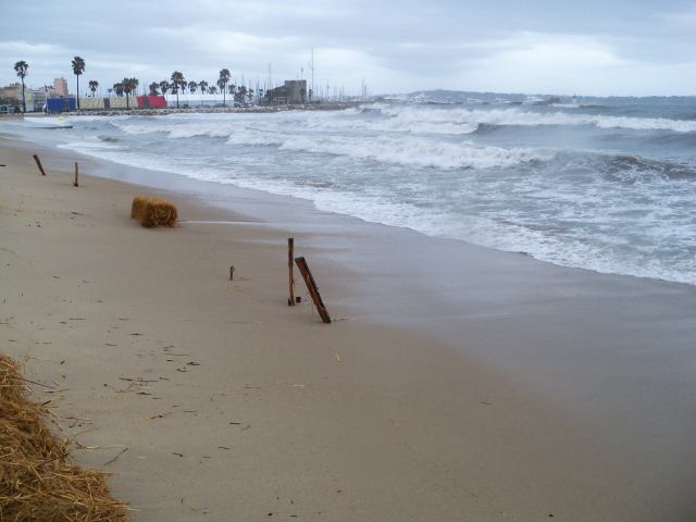 * Image 161