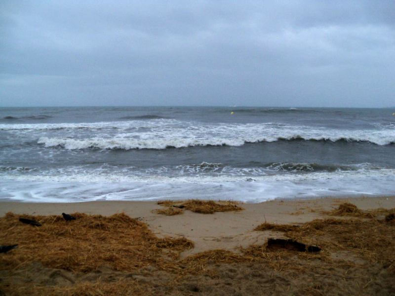 * Image 152