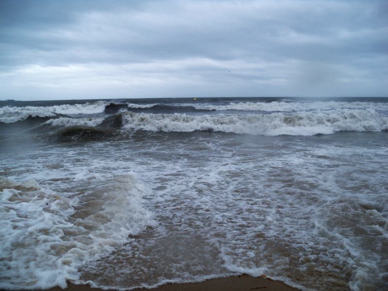 * Image 166