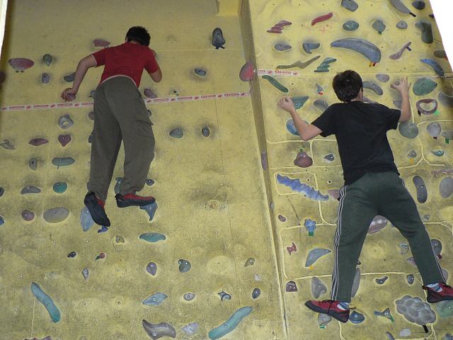 * Image 7