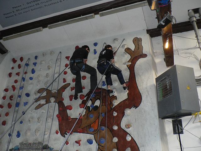 * Image 31