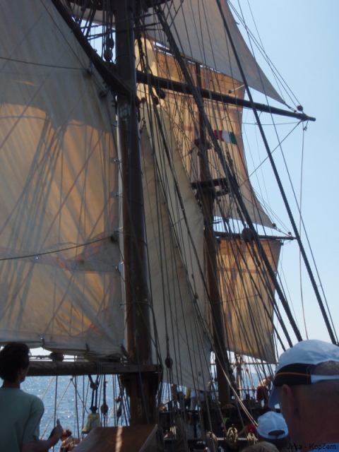 * Image 20