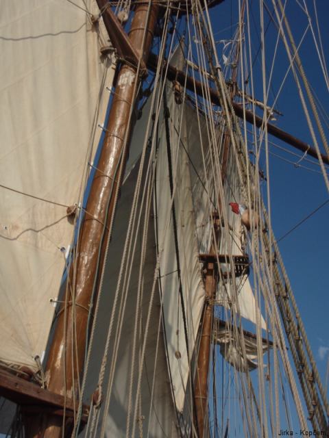 * Image 36