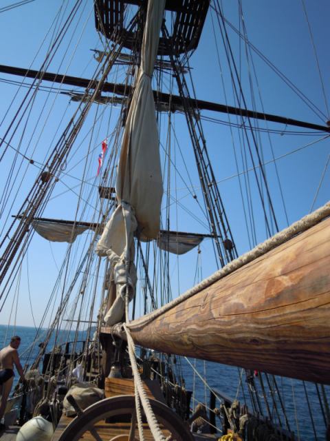 * Image 28