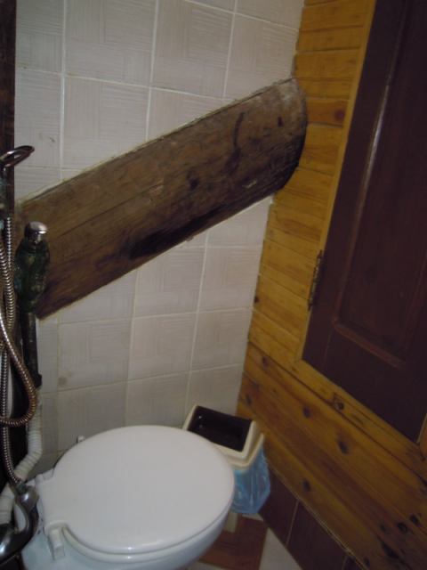 * Image 35
