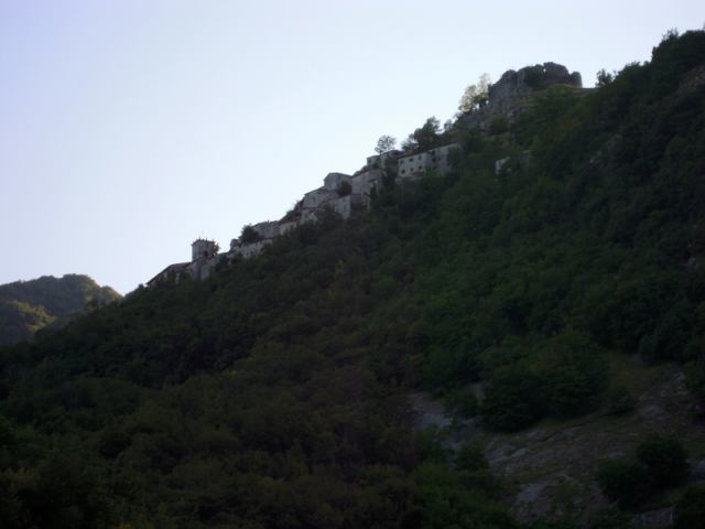 * Image 3