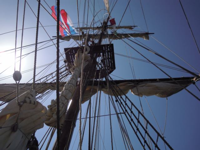* Image 12