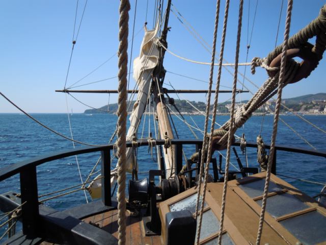 * Image 15