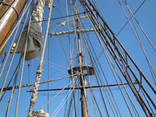 * Image 19