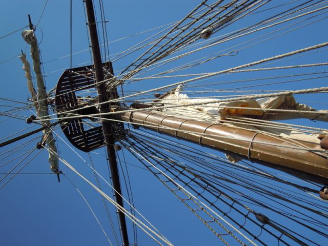 * Image 21
