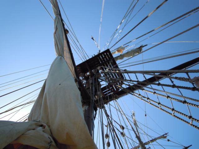 * Image 33