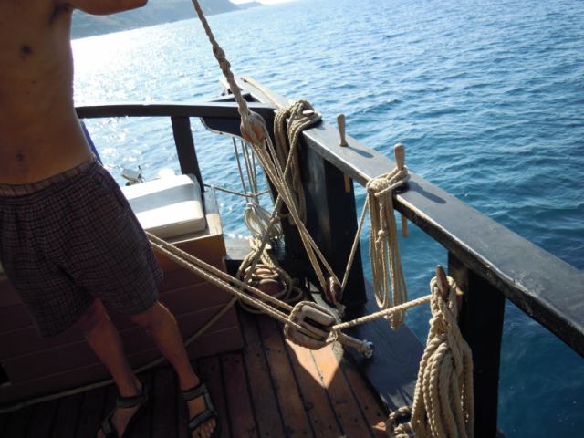 * Image 49