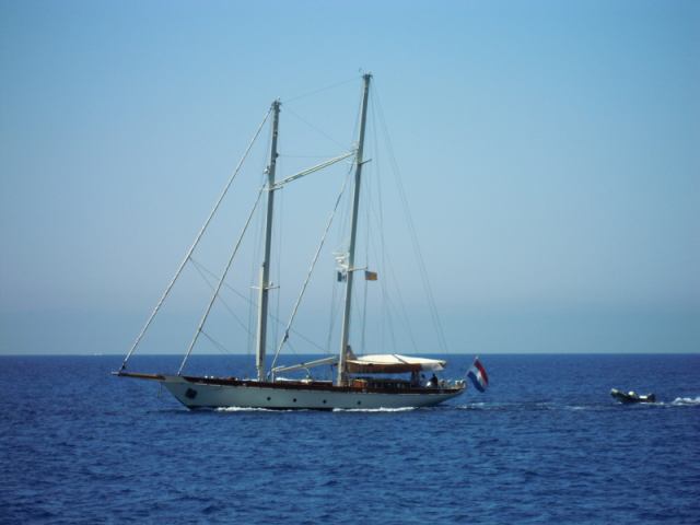 * Image 113
