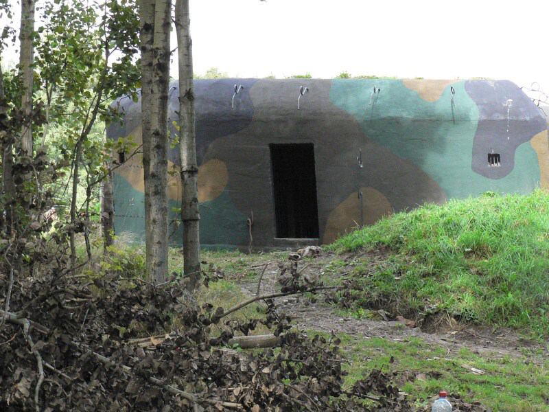 * Image 12