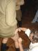DSC00322.jpg - 2006:11:19 03:14:08