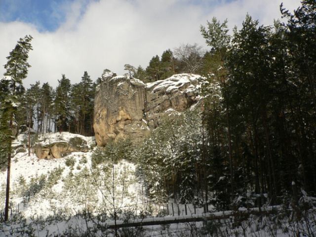 * Image 41