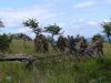 1 113.jpg - 2008:06:28 13:18:08