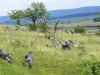 1 131.jpg - 2008:06:28 13:57:11