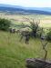 1 108.jpg - 2008:06:28 13:08:29