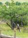 1 119.jpg - 2008:06:28 13:41:55