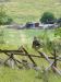 1 129.jpg - 2008:06:28 13:53:10
