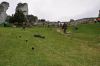 DSC_0059.JPG - 2011:07:24 11:36:33