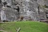 DSC_0080.JPG - 2011:07:24 12:32:25