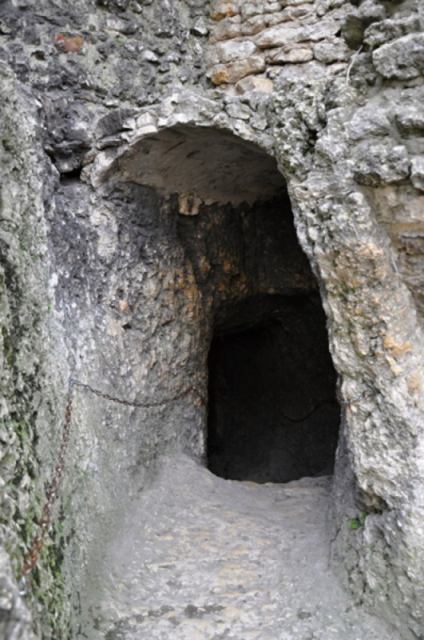 * Image 23