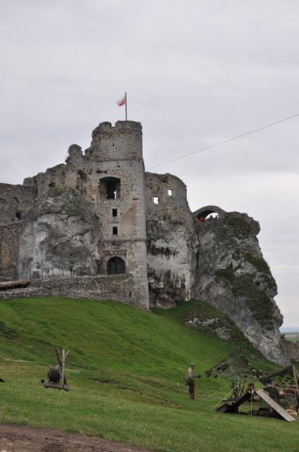 * Image 65