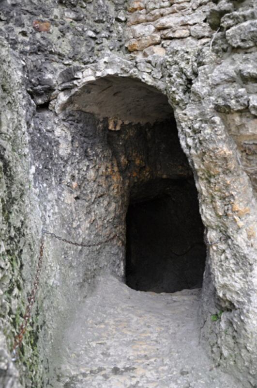 * Image 23