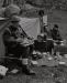 DSC_0008_upr.jpg - 2011:07:23 12:13:38