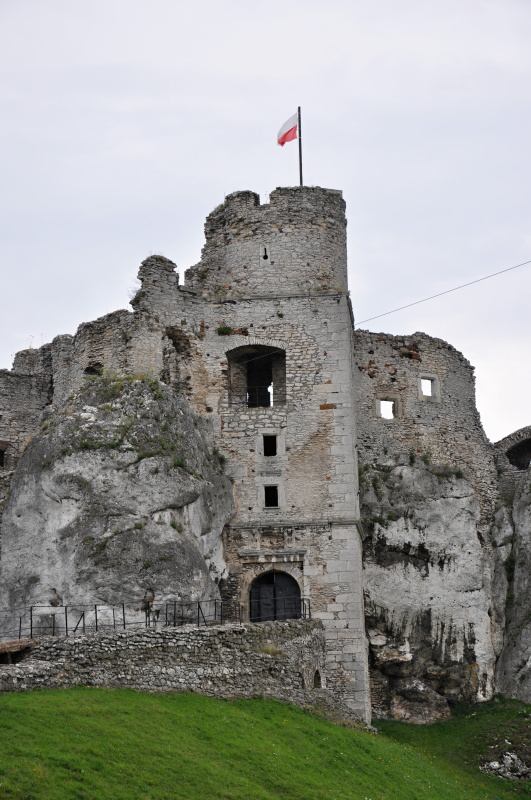 * Image 66